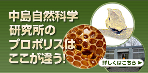 ���缫���ʳظ����Υץ��ݥꥹ�Ϥ������㤦��