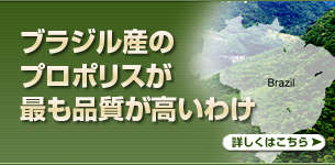 �֥饸�뻺�Υץ��ݥꥹ���Ǥ��ʼ����⤤�櫓