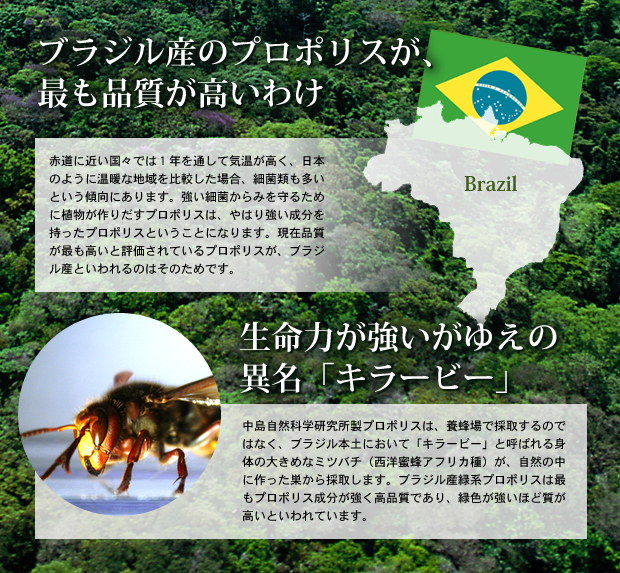 ʤ֥饸뻺ʤΤ