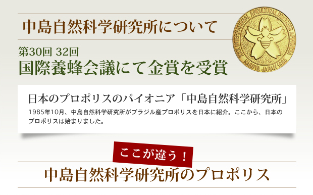 缫ʳظˤĤ