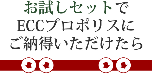 ʤˤǼޤ
