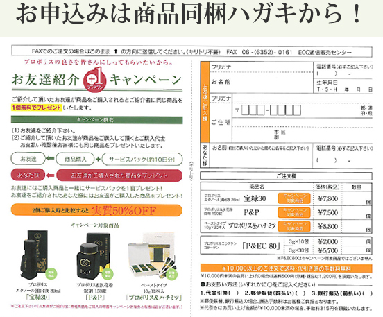 ޤϤʤʬ顪
