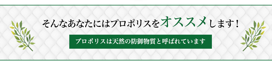 ����ʤ��ʤ��ˤϥץ��ݥꥹ�򥪥����ᤷ�ޤ���