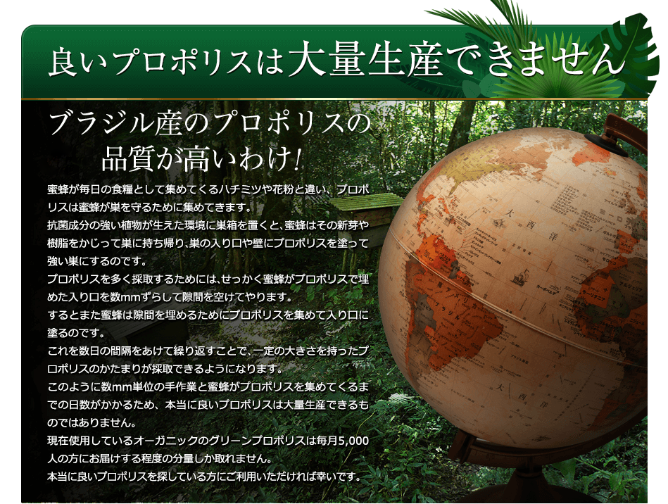 �ɤ��ץ��ݥꥹ�����������Ǥ��ޤ��󡡥֥饸�뻺�Υץ��ݥꥹ����
�Ǥ��ʼ����⤤�櫓